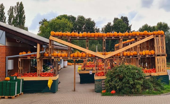 Bauerngarten Benninghoven